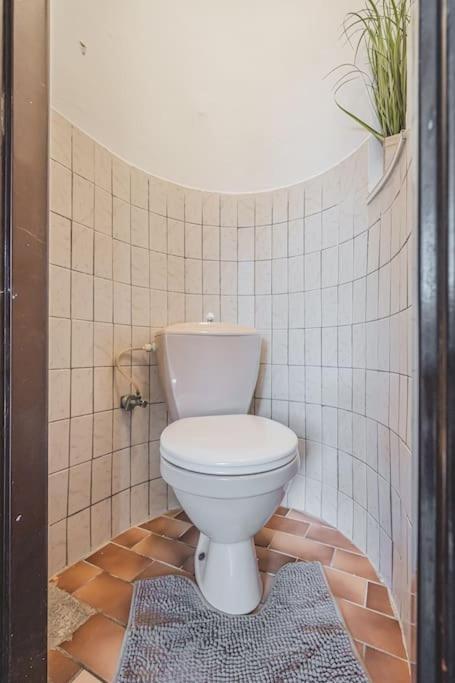 Carolina'S Romantic Apartment Hradec Králové Zewnętrze zdjęcie