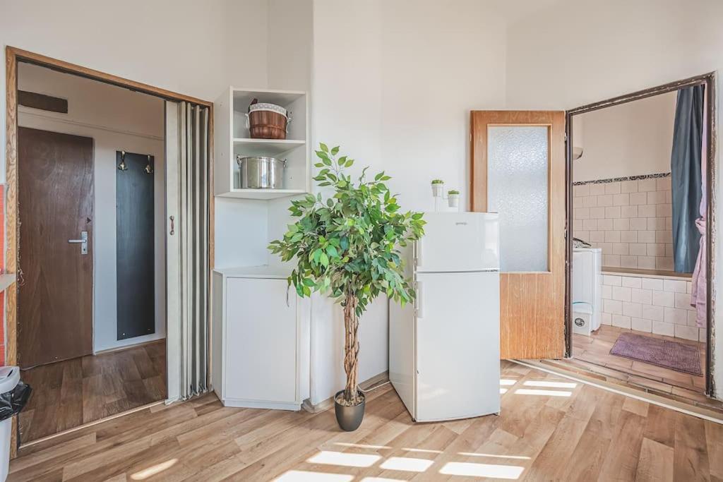 Carolina'S Romantic Apartment Hradec Králové Zewnętrze zdjęcie
